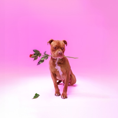 Ngisakuthanda (feat. Dj Tearz & Dr Thulz) - Single