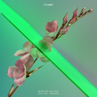 Never Be Like You (feat. Kai) [Remixes] - EP - Flume