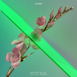 Never Be Like You (feat. Kai) Flume