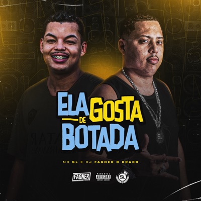 Ela Gosta de Botada - Single