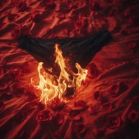 Fire (feat. King Tahoe) - Single - Reece L. Black & Bottum the Dreamer