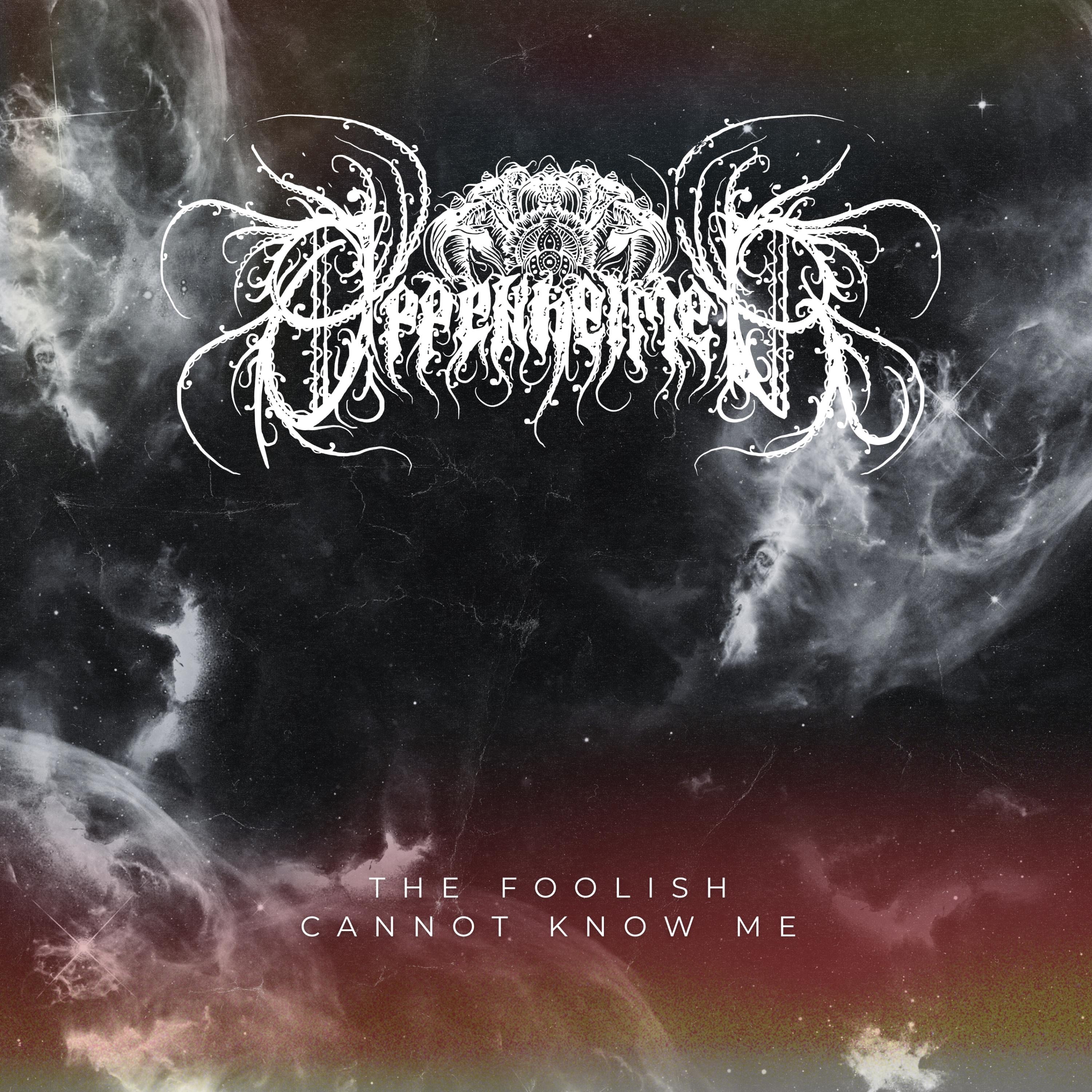 The Foolish Cannot Know Me - Single