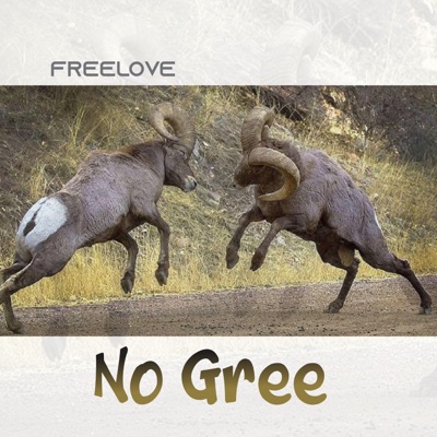 No gree - Single