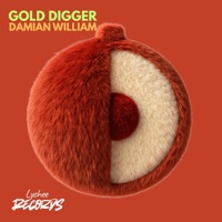 Gold Digger - Single - Damian William