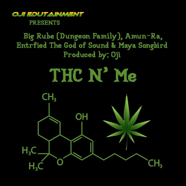 THC N' Me (feat. Big Rube, Entrfied the God of Sound & Maya Songbird) - Single album cover