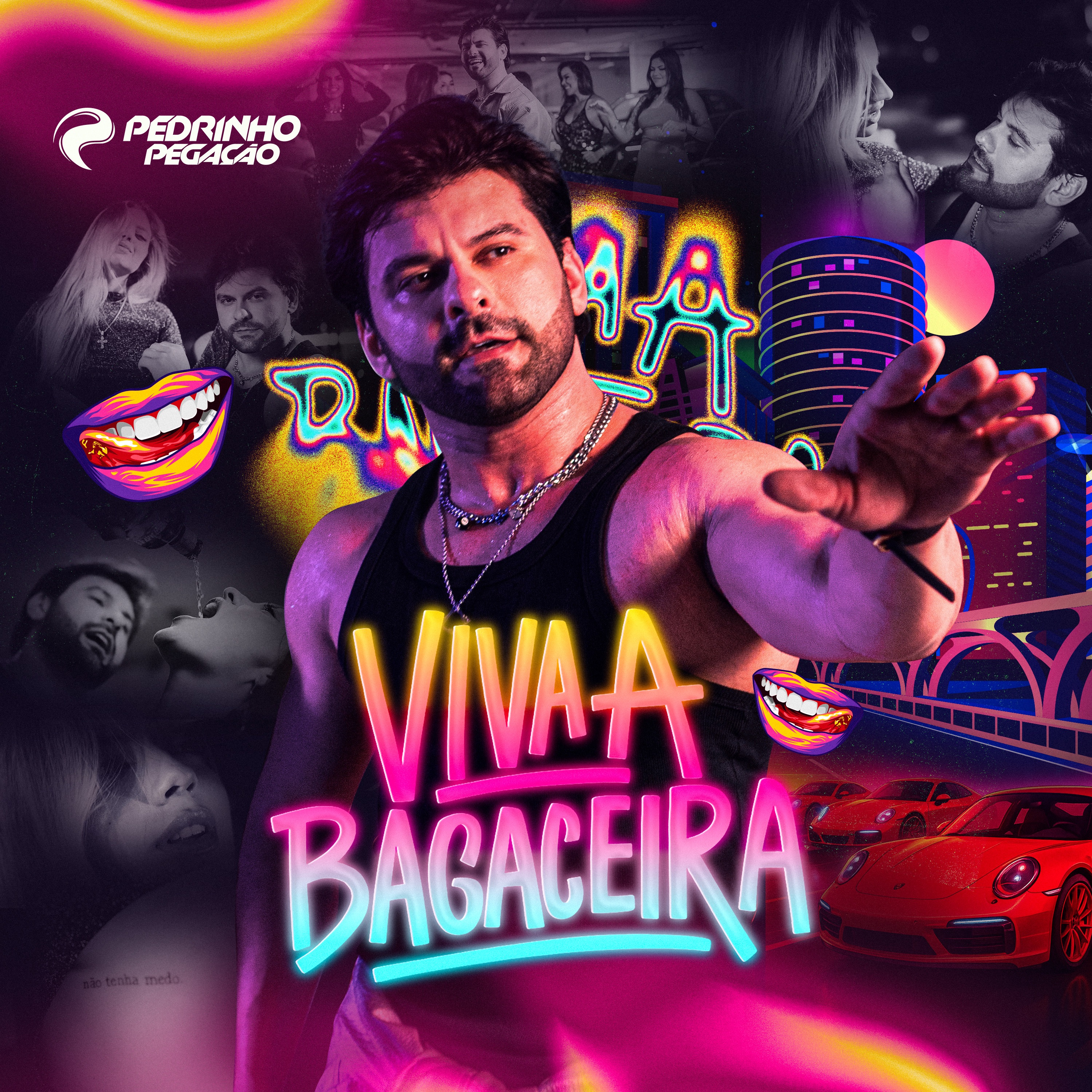 Viva a Bagaceira - Single