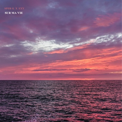 Sur ma vie (feat. EXY) - Single