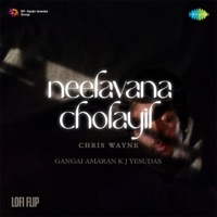 Neelavana Cholayil (Lofi Flip) - Single - K. J. Yesudas, Gangai Amaran & Poovachal Khader