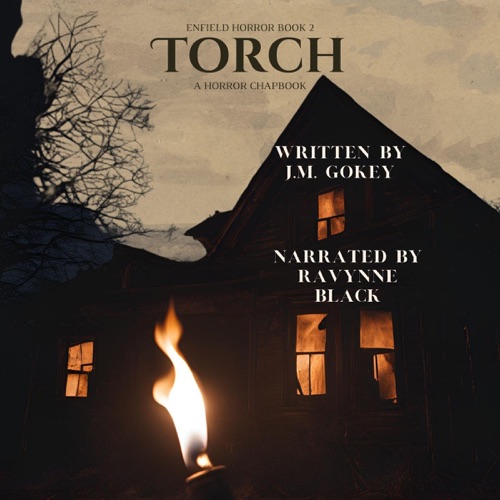 Torch: Enfield Horror, Book 2 (Unabridged) cover