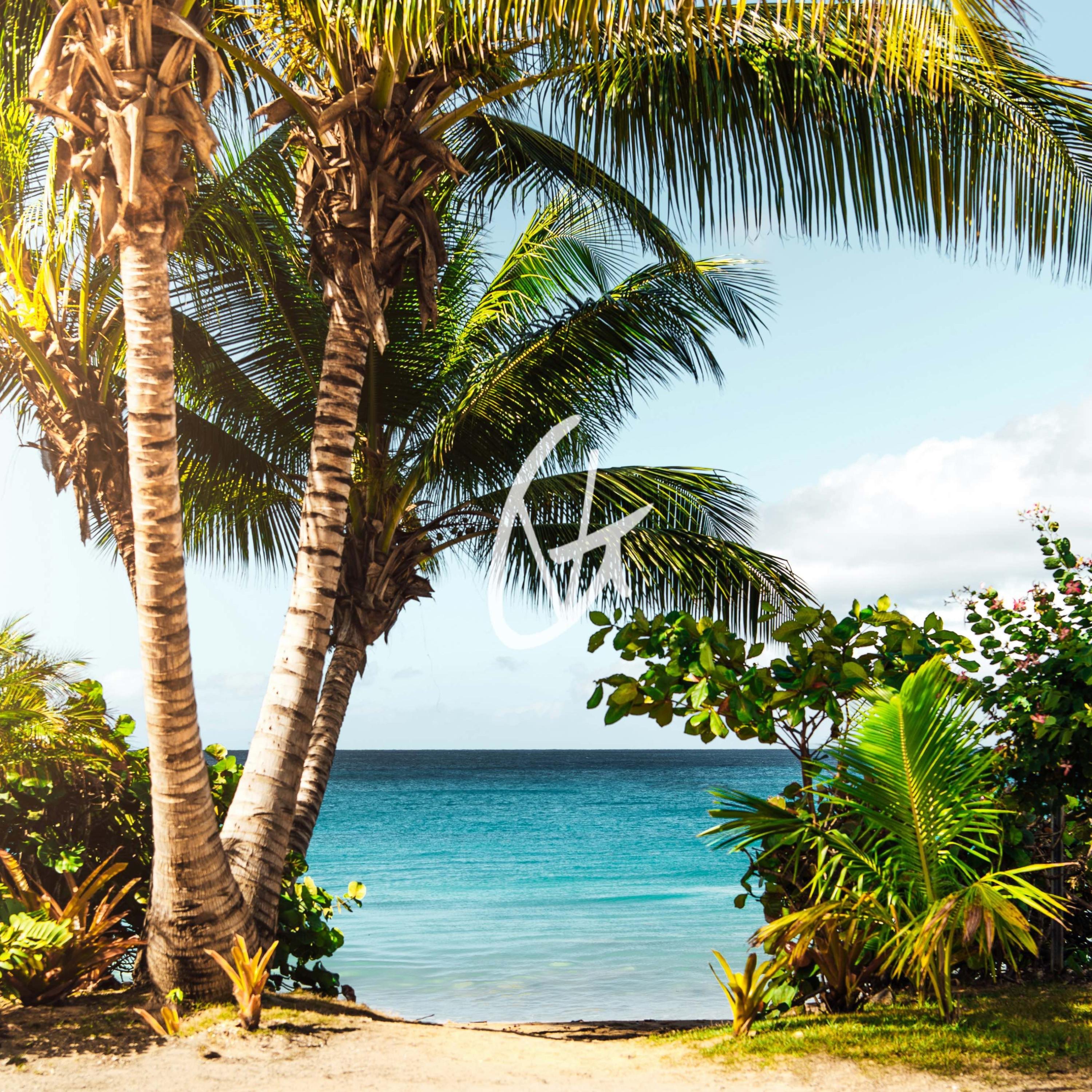 Summer Goes - Single