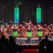 Frank Sinatra Classics (Live)