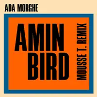 Amin Bird