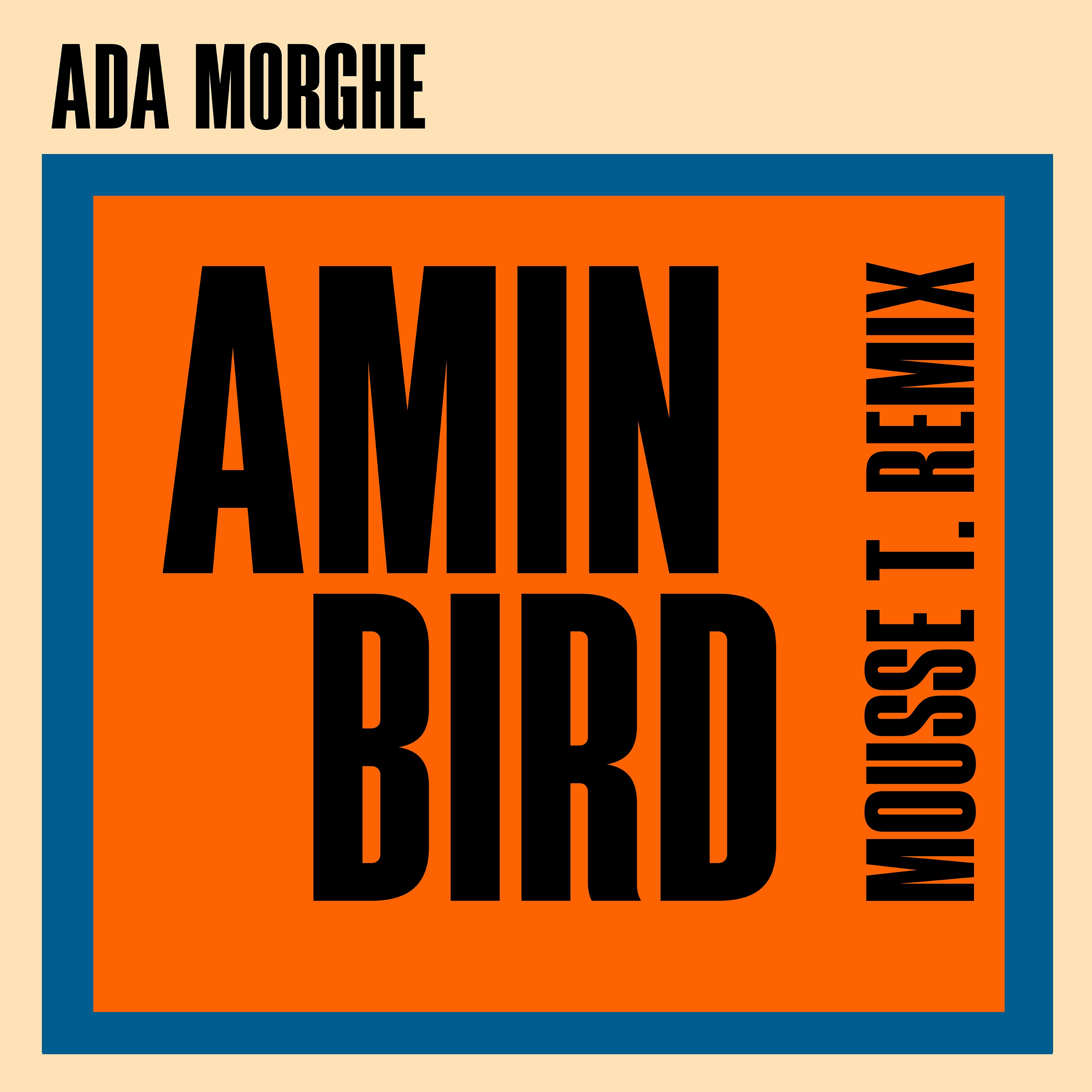 Amin Bird (Mousse T. Remix) - EP
