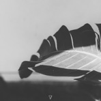 Tie Five - EP