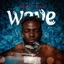 THE WAVE ALBUM