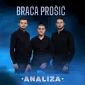 Analiza