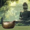 Harmonizing with Nature: Tibetan Singing Bowls for Holistic Wellness and Tranquil Meditation