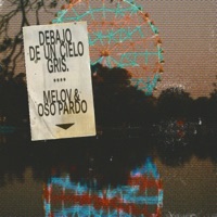 Debajo de un Cielo Gris - Single - Melov & Oso Pardo
