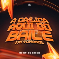 A Calica Aqui do Baile Vai Tomando - Single - DJ Bibi 22 & Mc KF