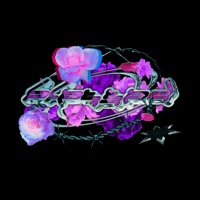 Blessed - Single - Saske & Bigla