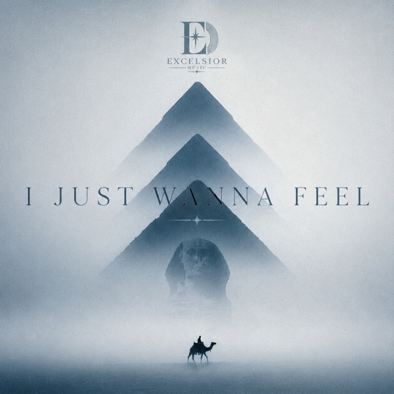 I Just Wanna Feel - Single