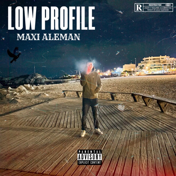 Low Profile