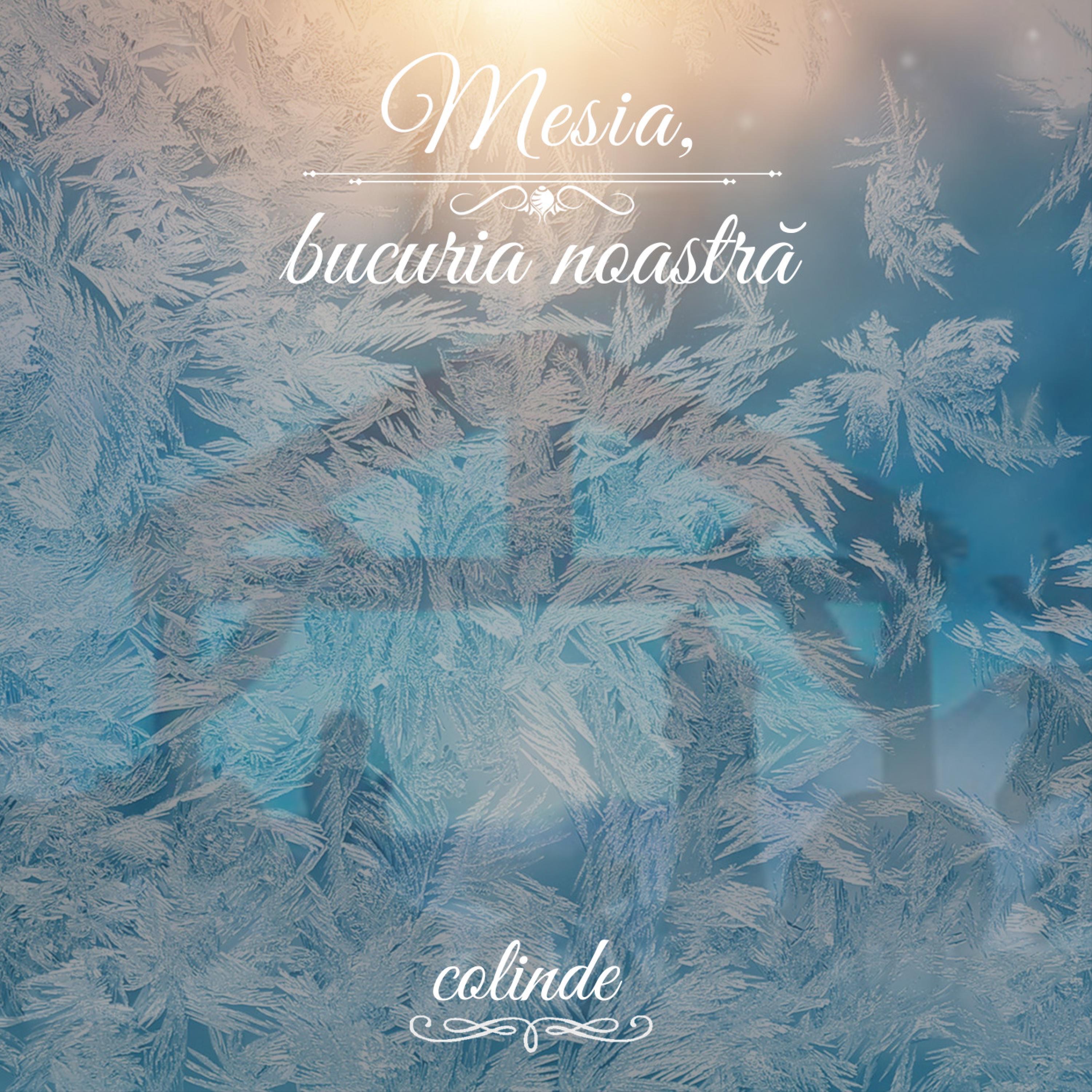 Mesia, bucuria noastra