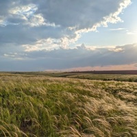 Я хороший - Single - LOTTU G