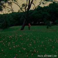 Prazer, Meu Nome É Zant - EP - Zant