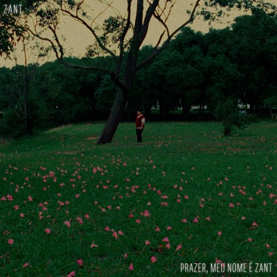 Prazer, Meu Nome É Zant - EP