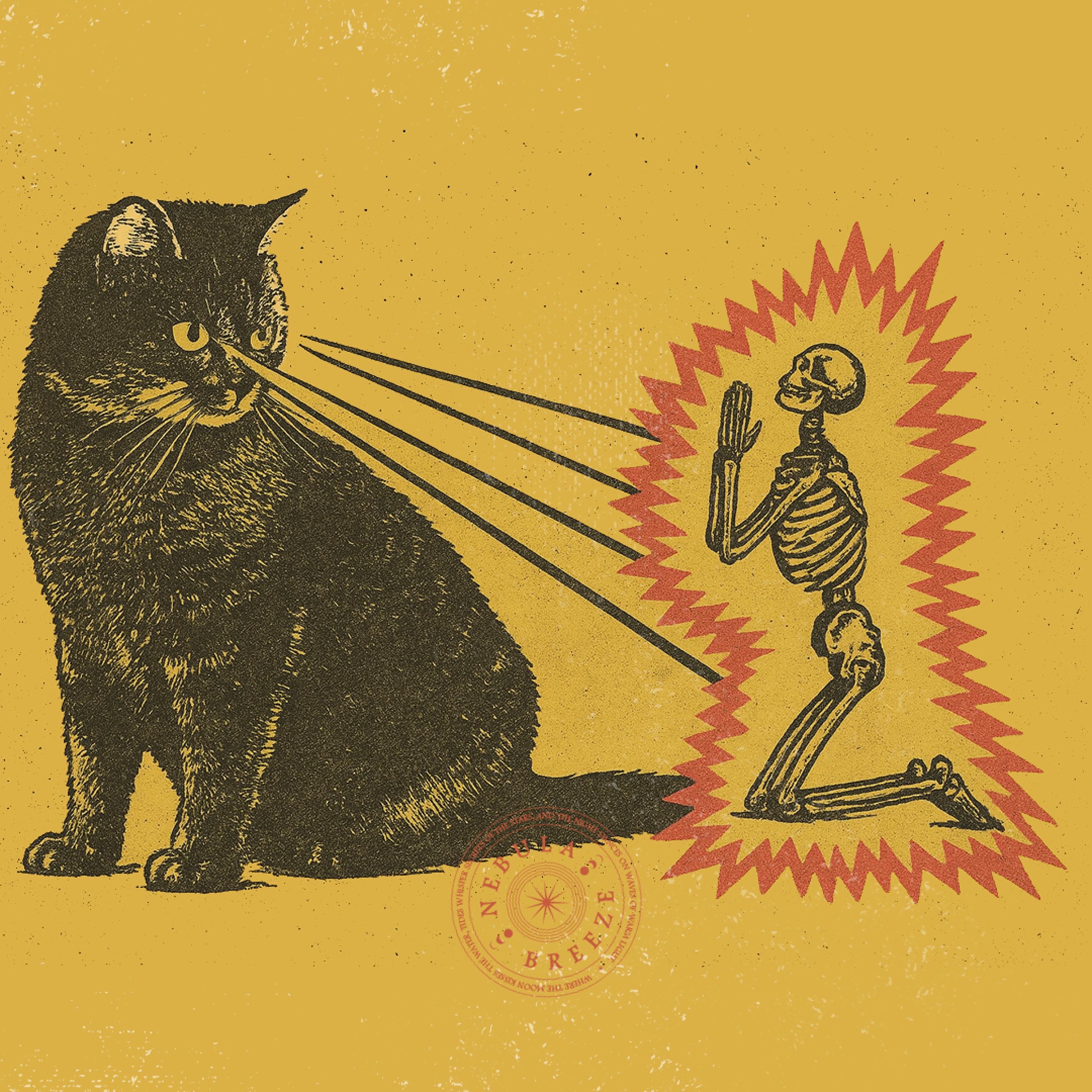 Kneeling and Pleading is not enough, goodbye