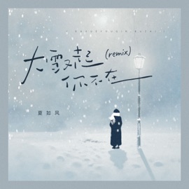 大雪又起你不在 (Remix) 夏如风 & Lucky Xiaoyang