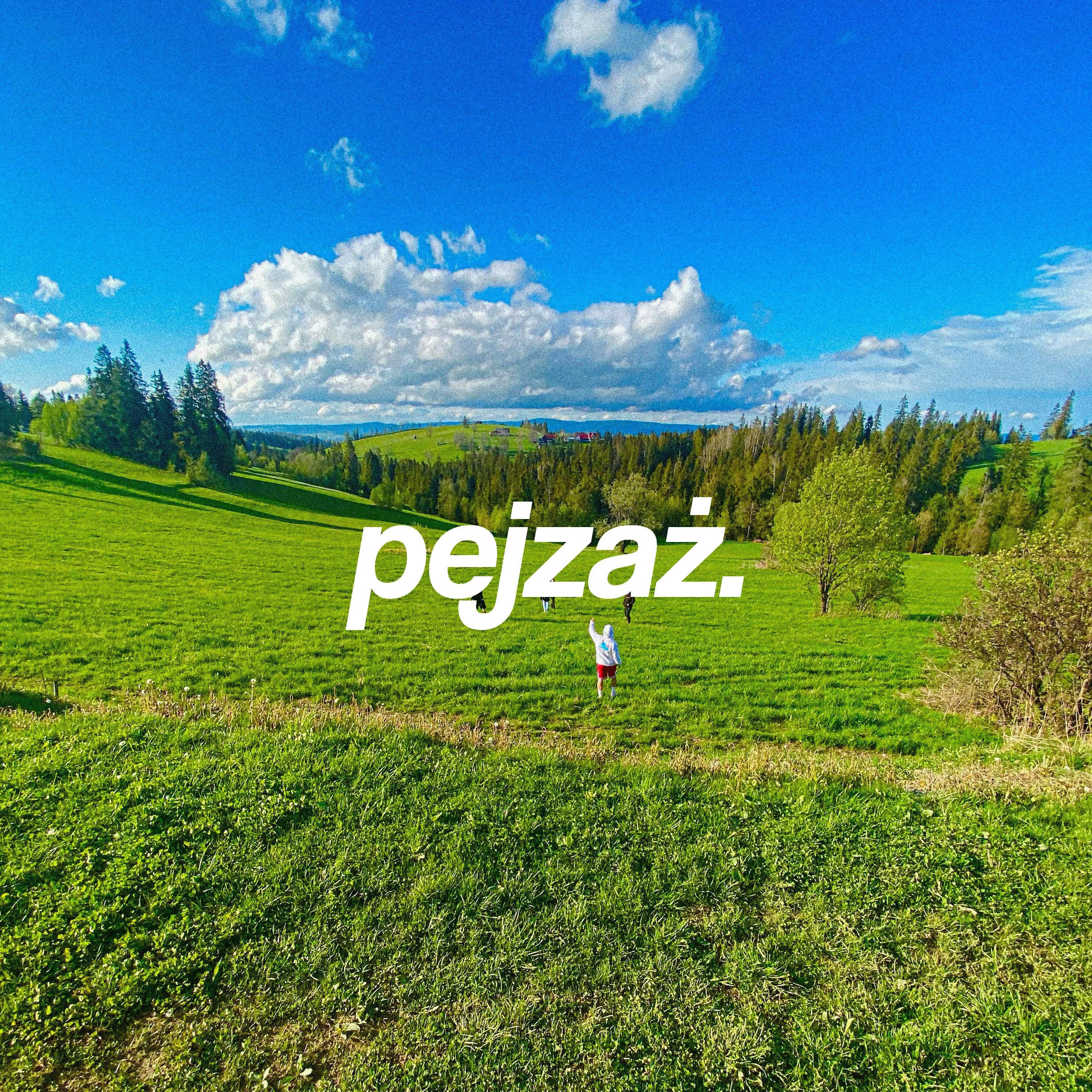 pejzaż - Single