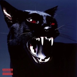 #slatttttttt RobinSossa