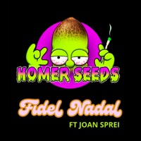 Homer Seeds (feat. Joan Sprei) - Single - Fidel & Homer Seeds