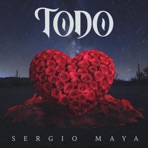 Todo - Single