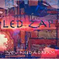 You Need A Dream