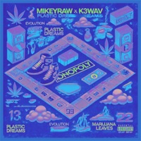 PLASTIC DREAMS CONT. - mikeyraw & K3WAV