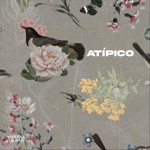 Atípico