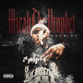 Radio Banger (feat. MuddBabyDrew) PNF Mike