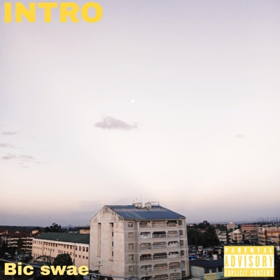 INTRO/TRAUMA - Single