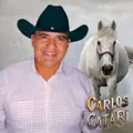 CARLOS CATARI