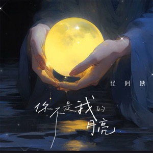 你不是我的月亮 - Single
