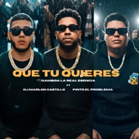 Que Tu Quieres - Single - Gamboa La Real Esencia, dj marlon castillo & Pinto El Problema