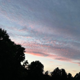 Uh Huh(No Hook) PSV Hundo