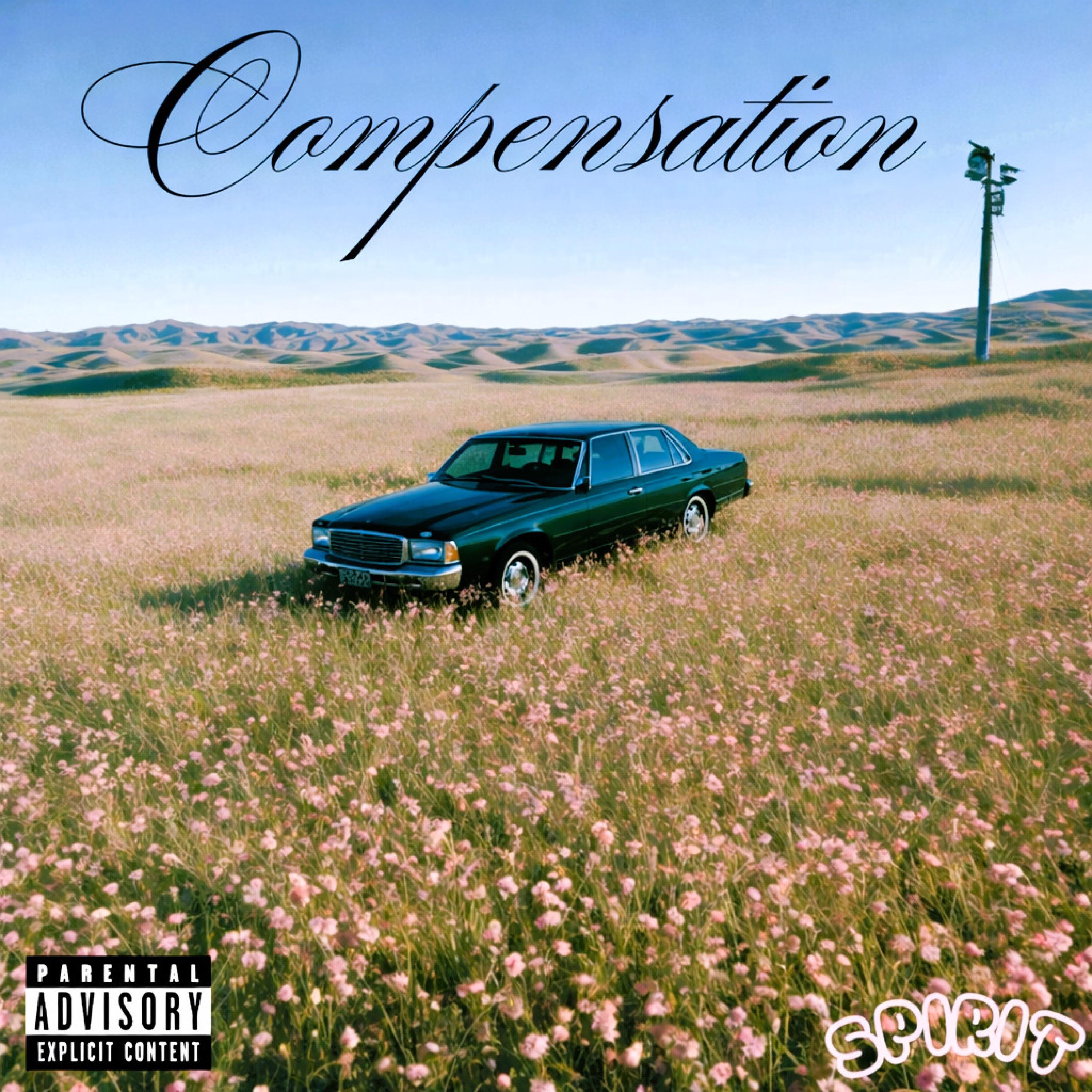 Compensation - Single