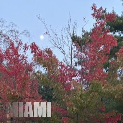 Miami - Single
