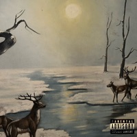 Köpfe kaputt - Single - Kato