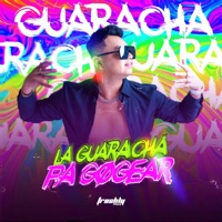 GUARACHA PA' GOGUEAR - DJ Freshly