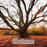 39 automnes - Single - Kraze